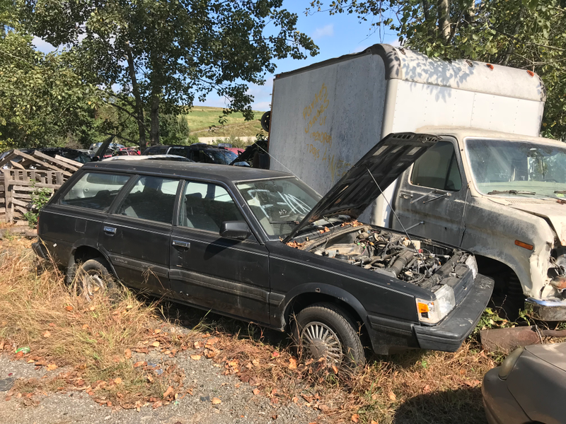 Subaru Loyale.